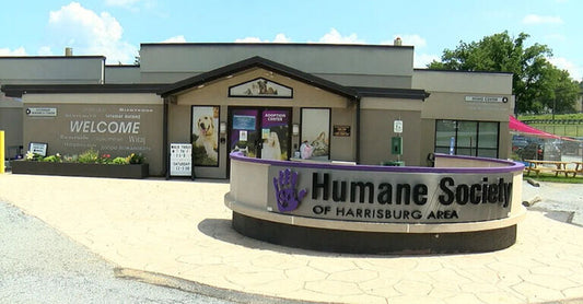 Highlighting the Humane Society of Harrisburg Area